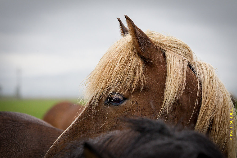 Iceland-20140719-2004.jpg