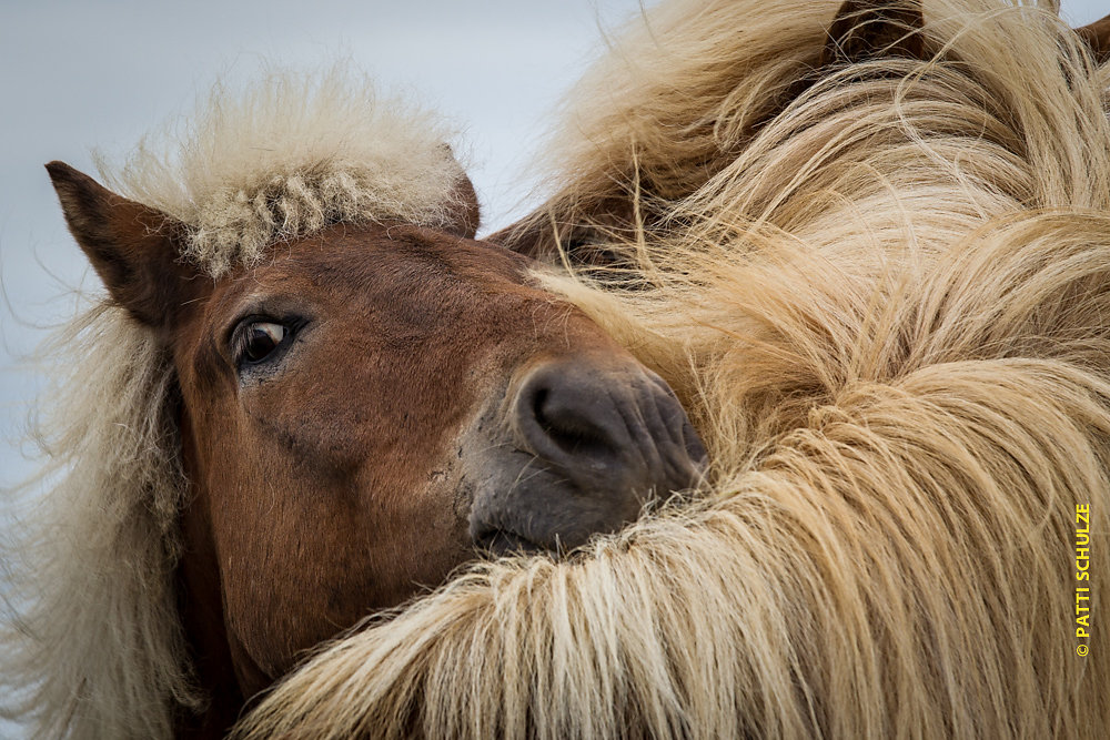 Iceland-20140720-2554.jpg