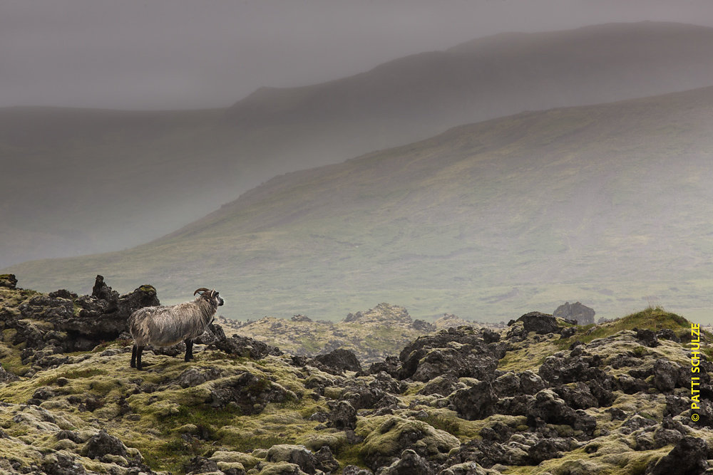 Iceland-20140722-3576.jpg