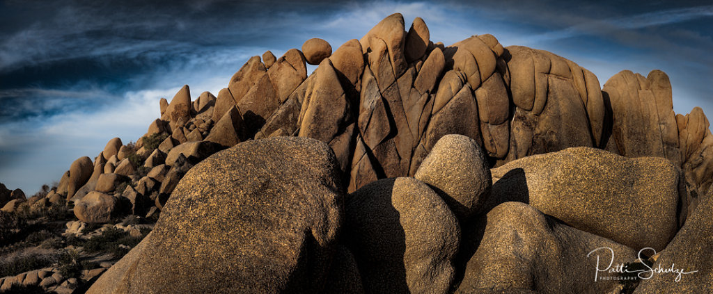 Joshua Tree Pano