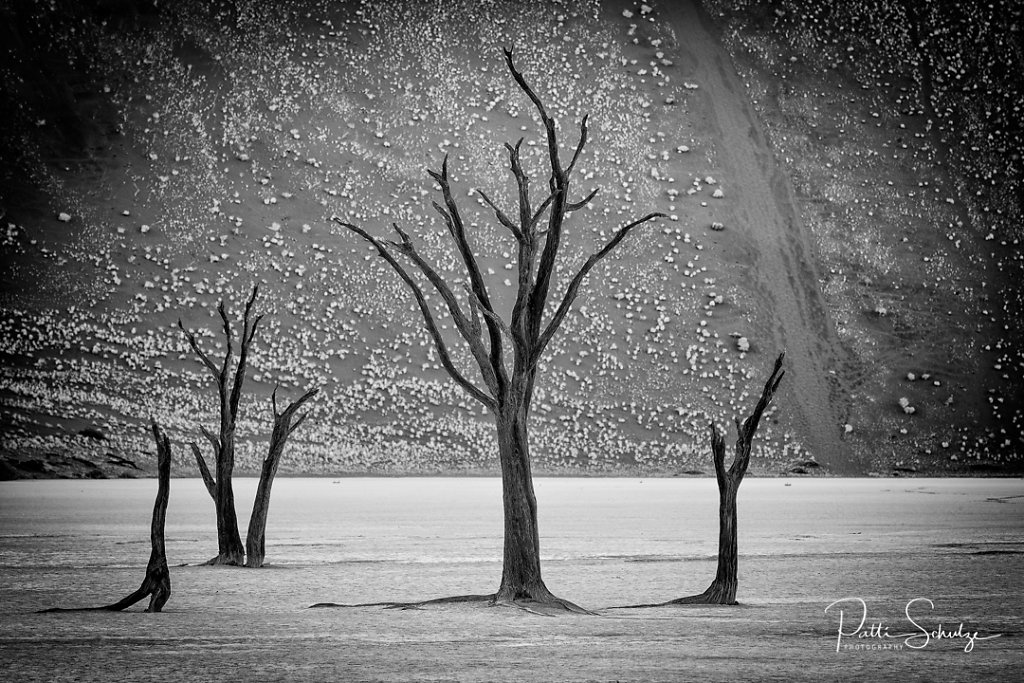 Dead Vlei