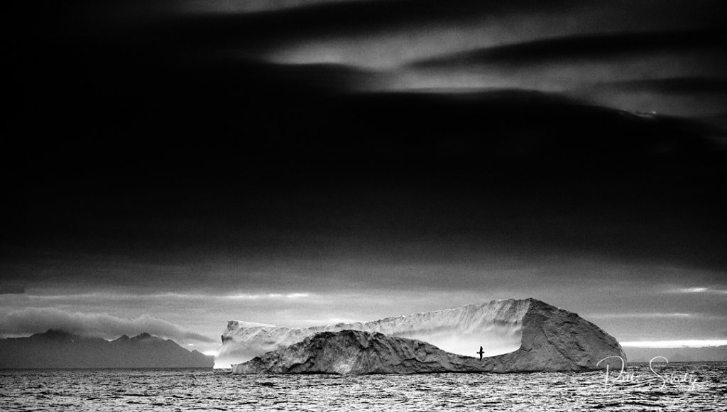 Iceberg and bird at Dusk