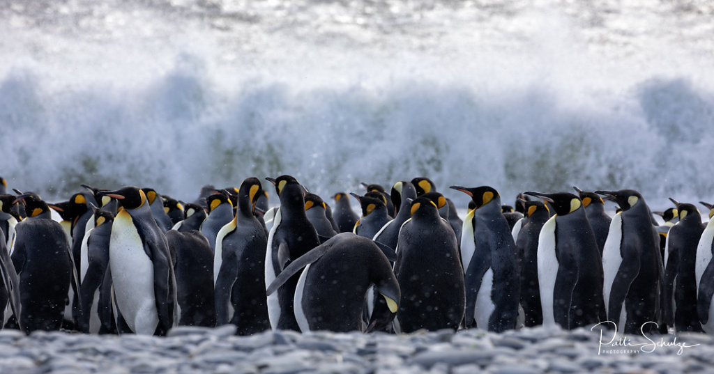 The Gathering