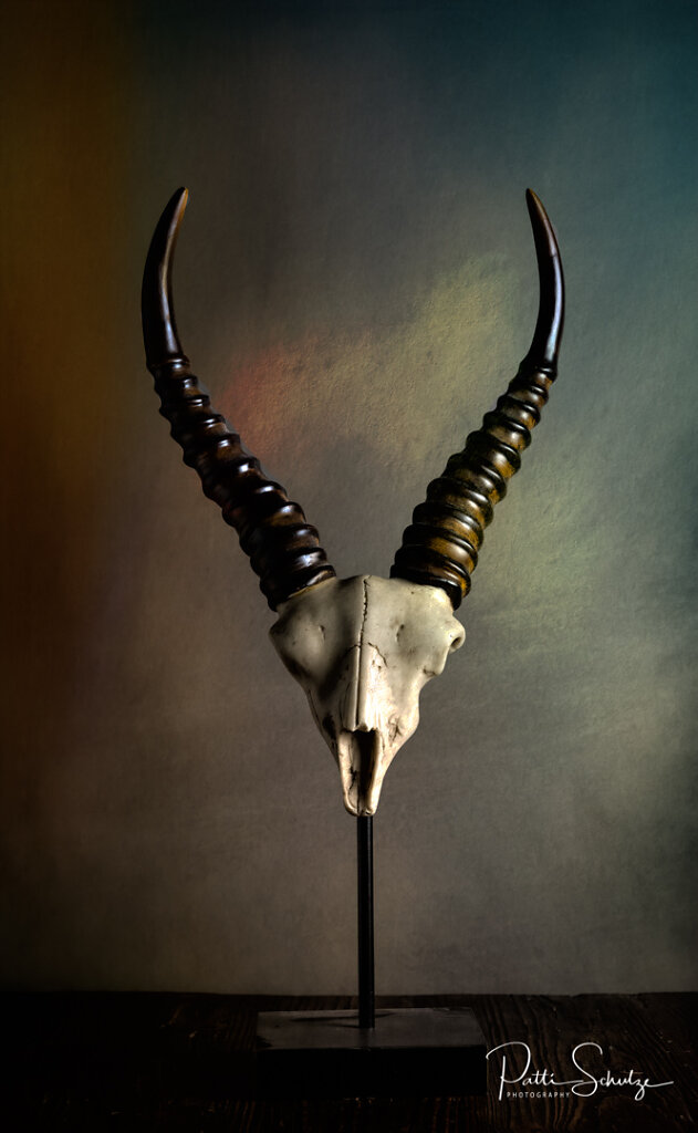 Black Buck Horn